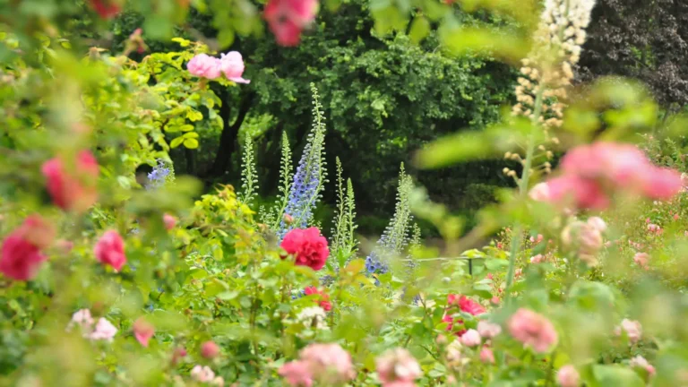 Garten des Gedeihens