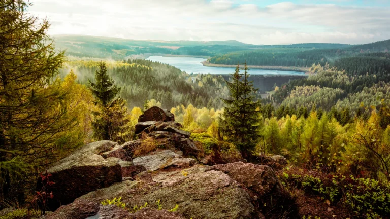 Die Reise meines Lebens