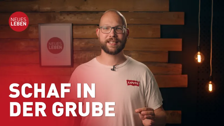 Schaf in der Grube